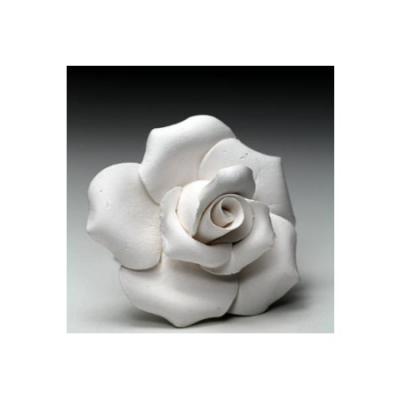 Clay rose