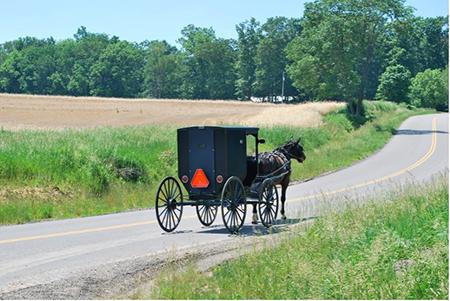 picture of an Amish horse and buggy on a country road